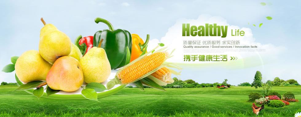 合肥市包河区盛博计算机科技工作室-官网